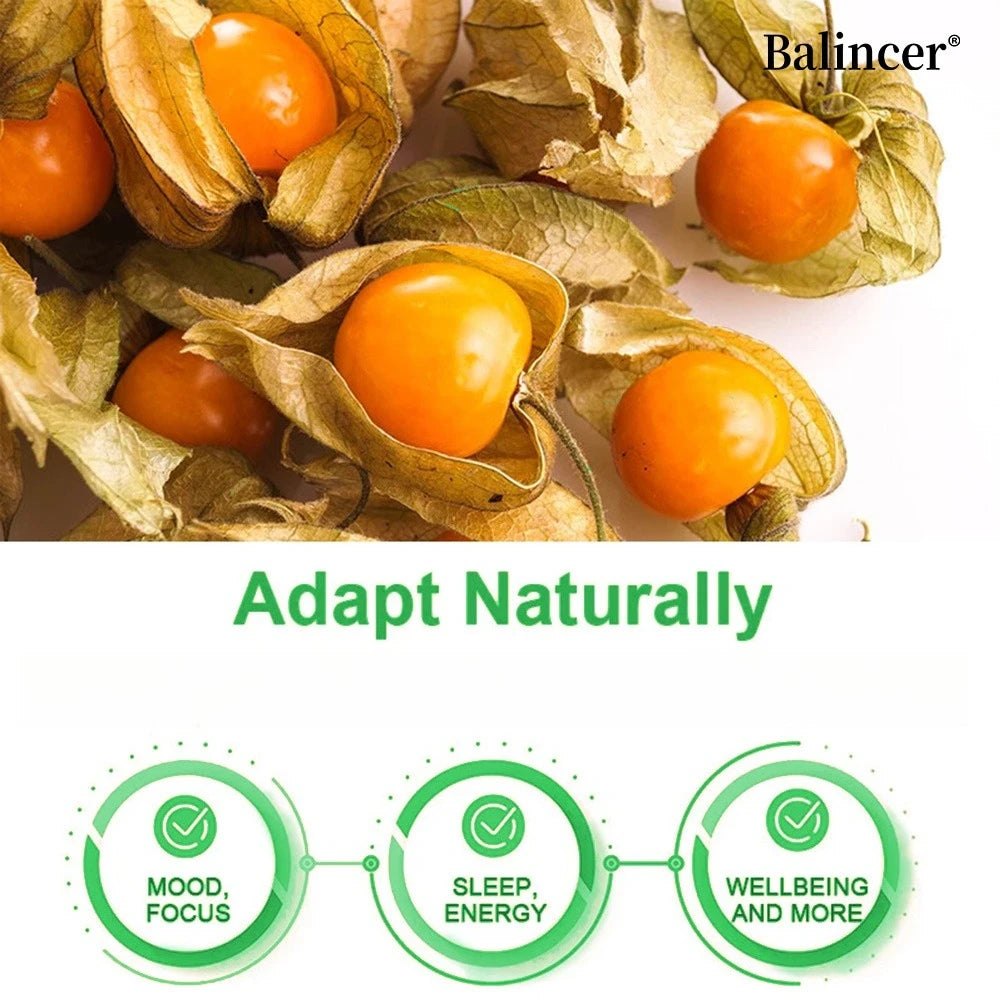 Ashwagandha Supplement- Supports Brain and Memory, Improves Focus, Stamina, Improves Mood and Sleep - 120 Capsules